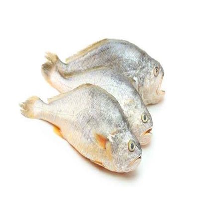 Croaker-Fish-1kg-