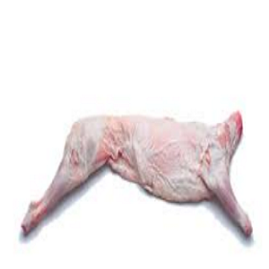 shop_products_9369-1.png