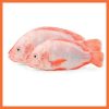 Red Bream Fish (Cut& Cleaned)
