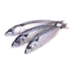 Whole Mackerel (Bag)