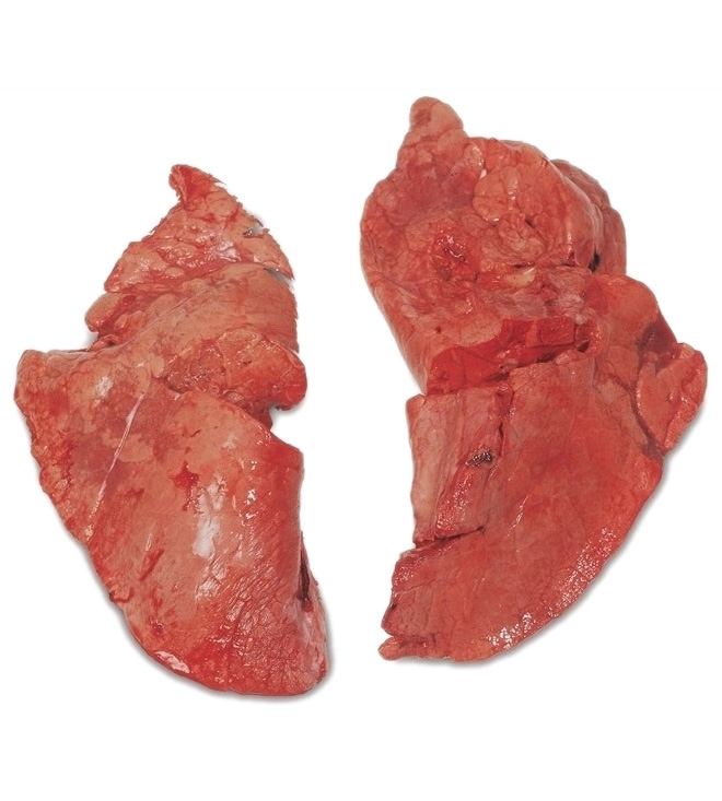 Goat Lungs (Fuku) 1kg