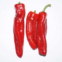 Long Red Pepper