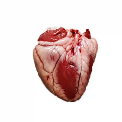 LambHeart_2048x