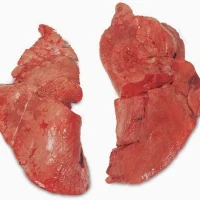 Sheep Lungs (Fuku) 1kg