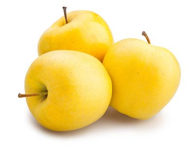 yellow apples isolated