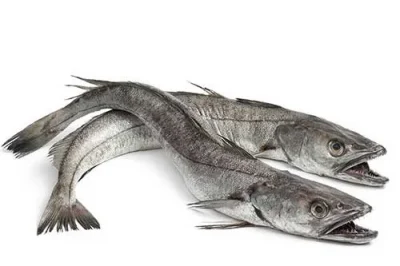 panla-fish