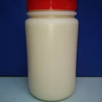 Ginger Paste 1kg