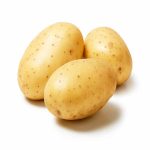 White Sweet Potato