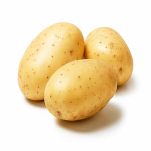 White Sweet Potato