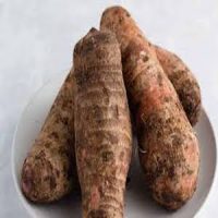 West African Cocoyam