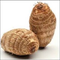 Ugandan CoCoyam
