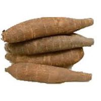 Fresh cassava