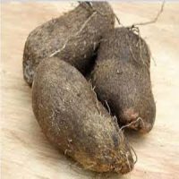 Water Yam