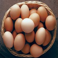 BIRDBROS FRESH EGGS