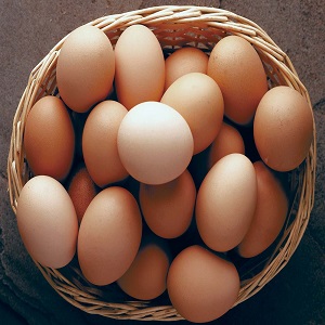 BIRDBROS FRESH EGGS