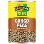 TROPICAL SUN GUNGO PEAS IN SALTED WATER