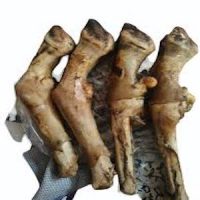 Goat Leg