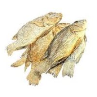 Koobi Fish