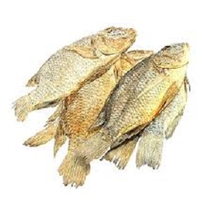 Koobi Fish