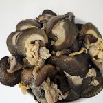 Tasty jumbo snail 907G