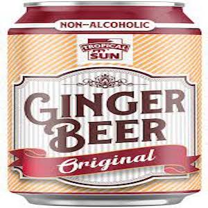 Ginger beer Can 330ml