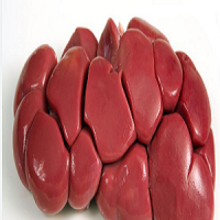 Fresh cow kidney