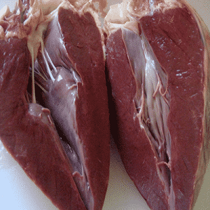 Fresh cow heart