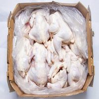 Box of fresh whole chicken