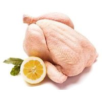 Frozen whole chicken