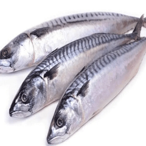 shop_products_9673-1.png