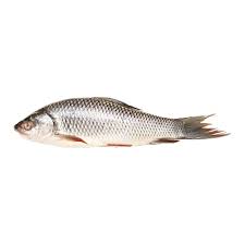 ROHU FISH 1KG