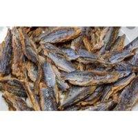 African Sea Herring Fillet 100g