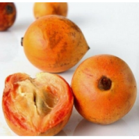 Agbalumo (African Star Apple/ Nwannu/ Udara)