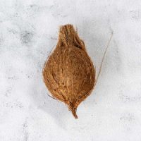 Coconut - 1 piece