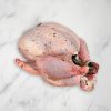 Free Range Bronze Turkey, Fresh, +/-5kg