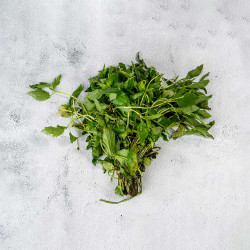 Fresh Ewedu/ Molokhia/ Krin Krin/ Jute Leaves Bunch