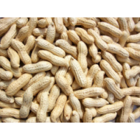 Fresh Peanut/ Ground Nuts 500g