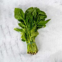 Fresh Spinach Bunch