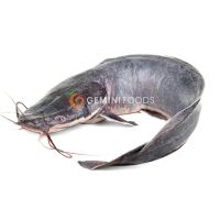 Frozen Catfish 800g