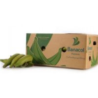 Green Plantain Box (Please read description carefully)