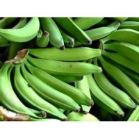 Green Plantain Half Box (please read description carefully)