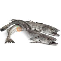 Headless Hake Fish