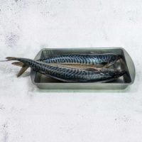 Original Mackerel/ Titus (3 in a bag)