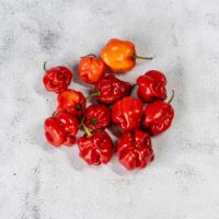 Scotch Bonnet Rodo Pack (Hot Pepper) 130g