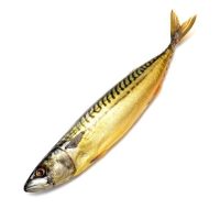 Smoked Mackerel