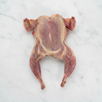Spatchcocked Quail, Fresh, x 4