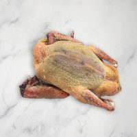 Squab Pigeon Royal, Fresh, +/-500g
