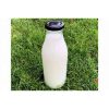 Stera Whole Sterilised Milk 500ml