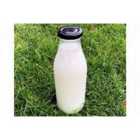 Stera Whole Sterilised Milk 500ml