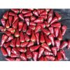 SU Bullet Chillis 100g